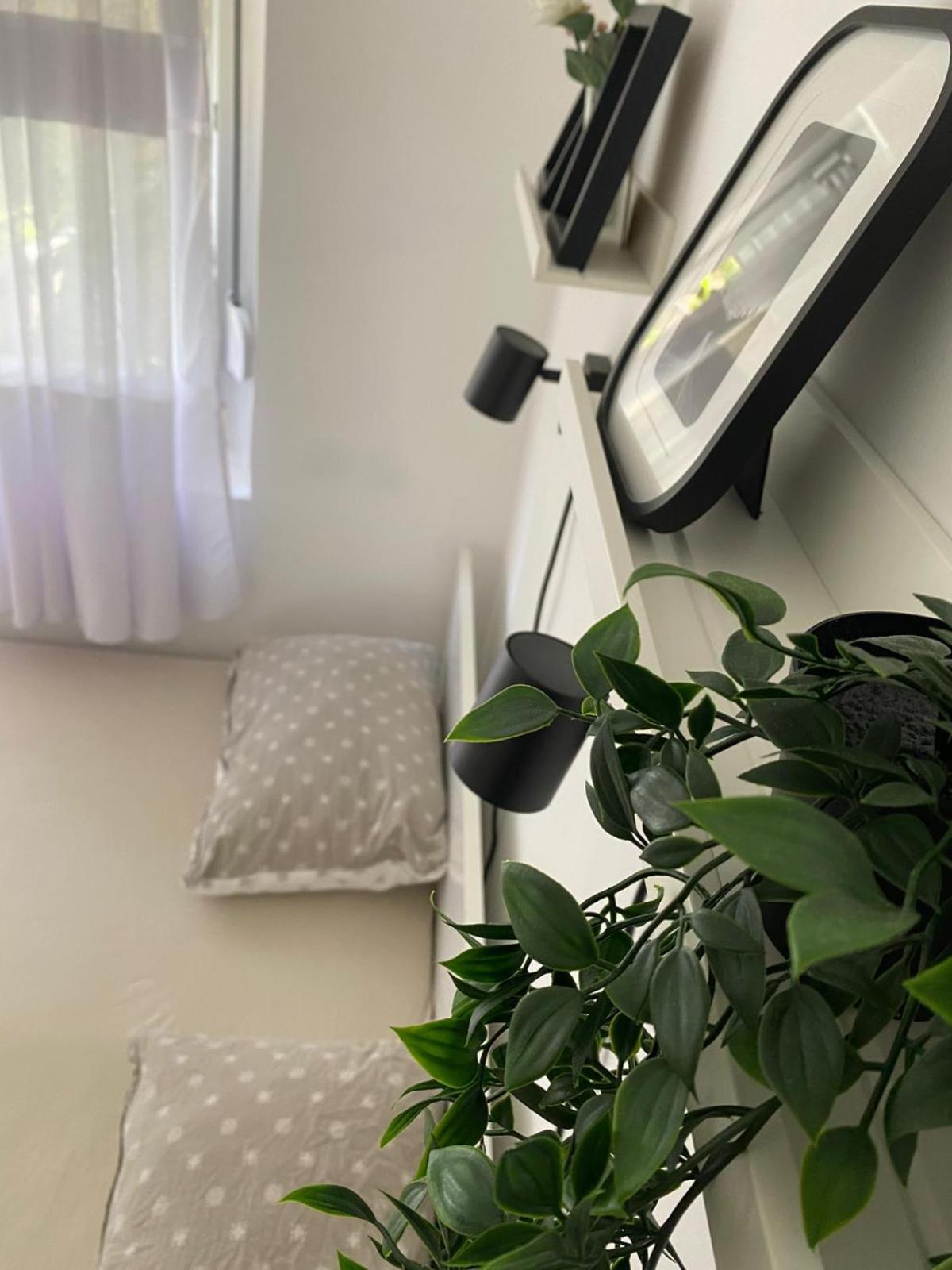 Urban Oasis Apartment Sajmiste Zewnętrze zdjęcie